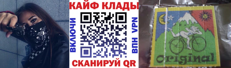 Псилоцибиновые грибы Зуевка