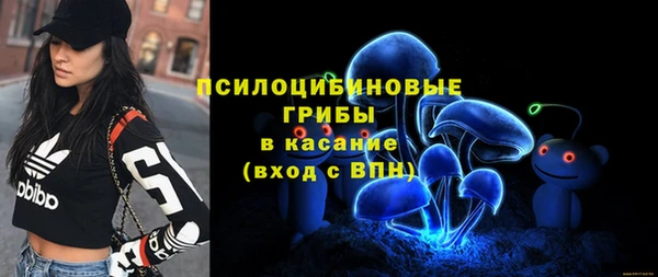 скорость Арсеньев