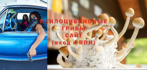 Альфа ПВП Армянск