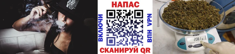 Конопля OG Kush Зуевка